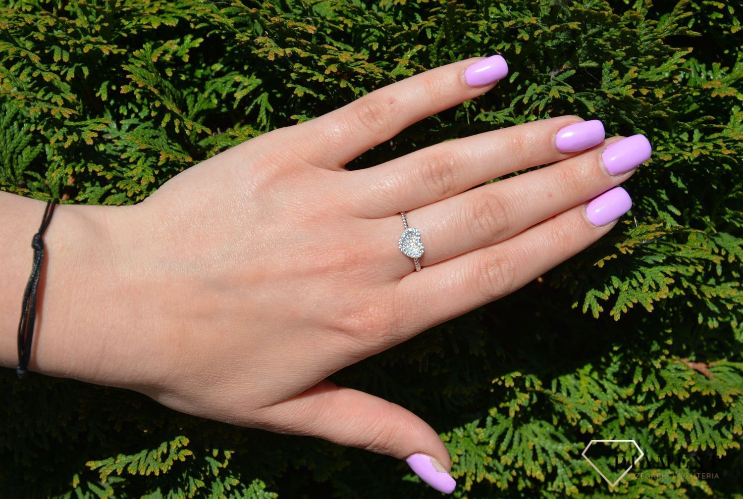 PRS 000000 352 925.jpg